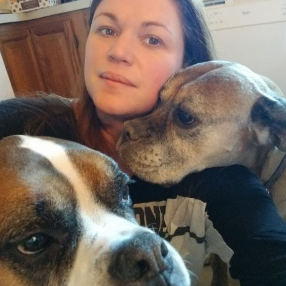 Meet your Posher, Chancey - Picture 1 of 1